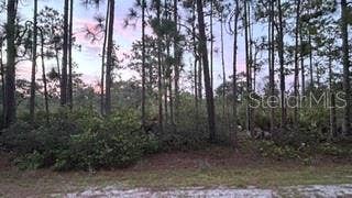 Property photo for 116 (BLK 62 LOT 8) CAMELLIA DRIVE, Indian Lake Estates, FL