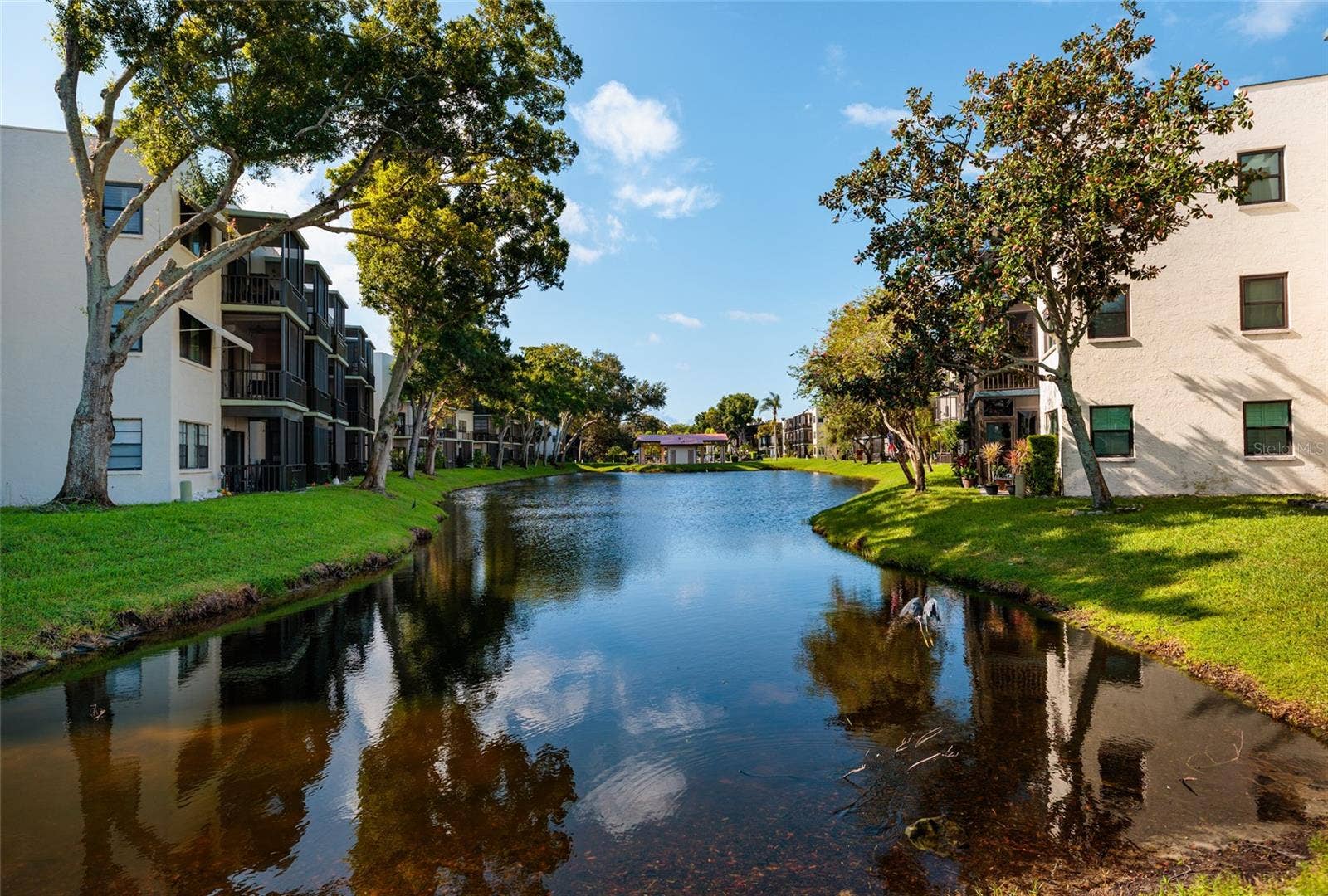 5980 TERRACE PARK DRIVE N, #208, St Petersburg, FL 33709 5980 TERRACE PARK DRIVE N, #208, St Petersburg, FL 33709