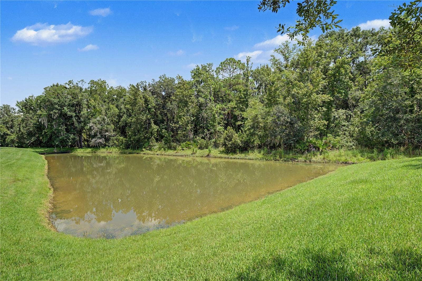 29079 OXMOOR COURT, San Antonio, FL 33576 29079 OXMOOR COURT, San Antonio, FL 33576