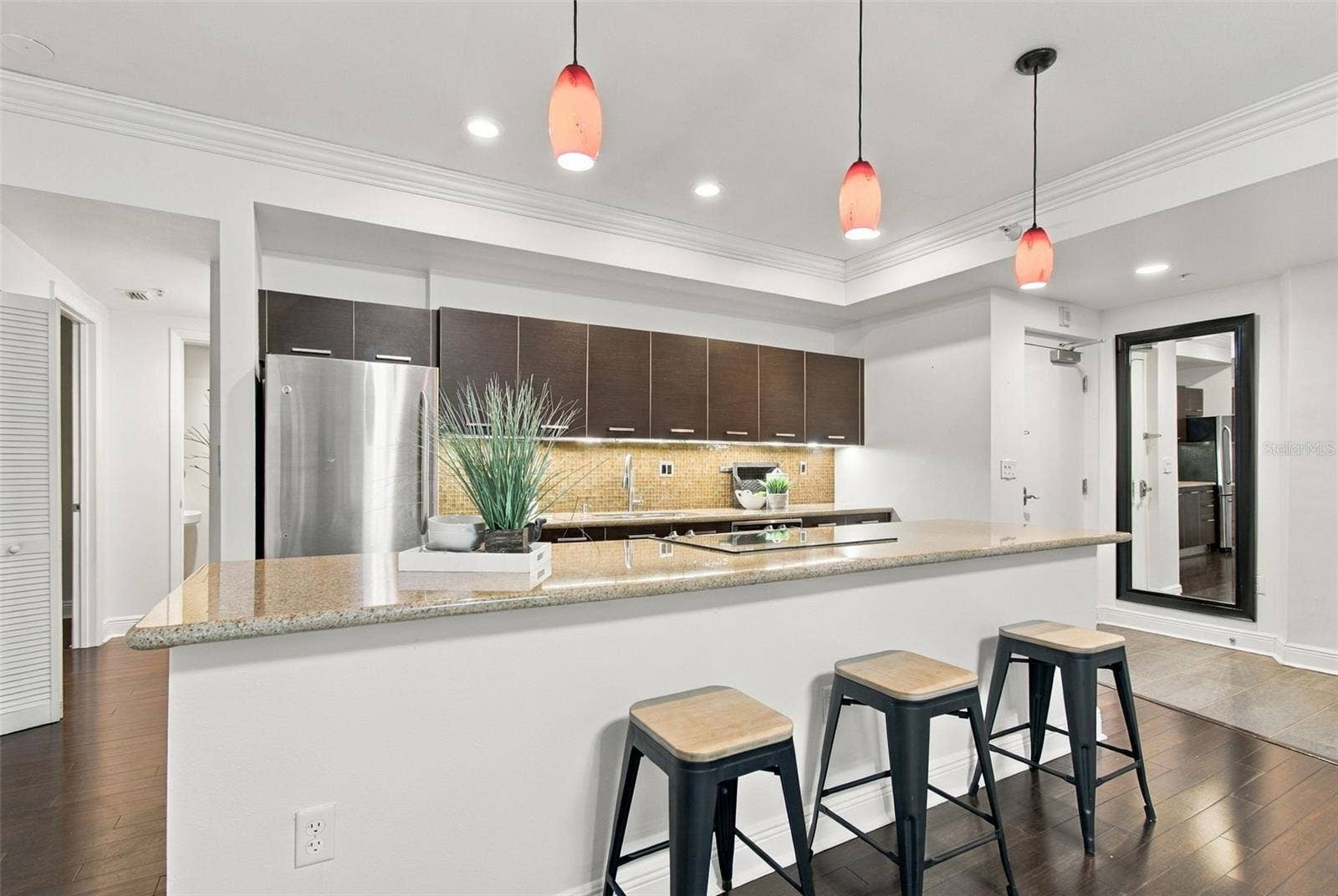 205 5TH AVENUE N, #201, St Petersburg, FL 33701 205 5TH AVENUE N, #201, St Petersburg, FL 33701