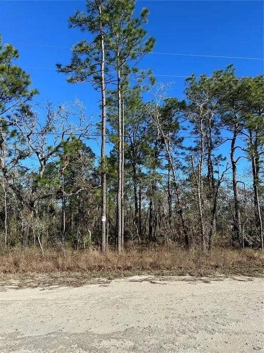 Property photo for 11117 SEATTLE WREN AVENUE, Weeki Wachee, FL
