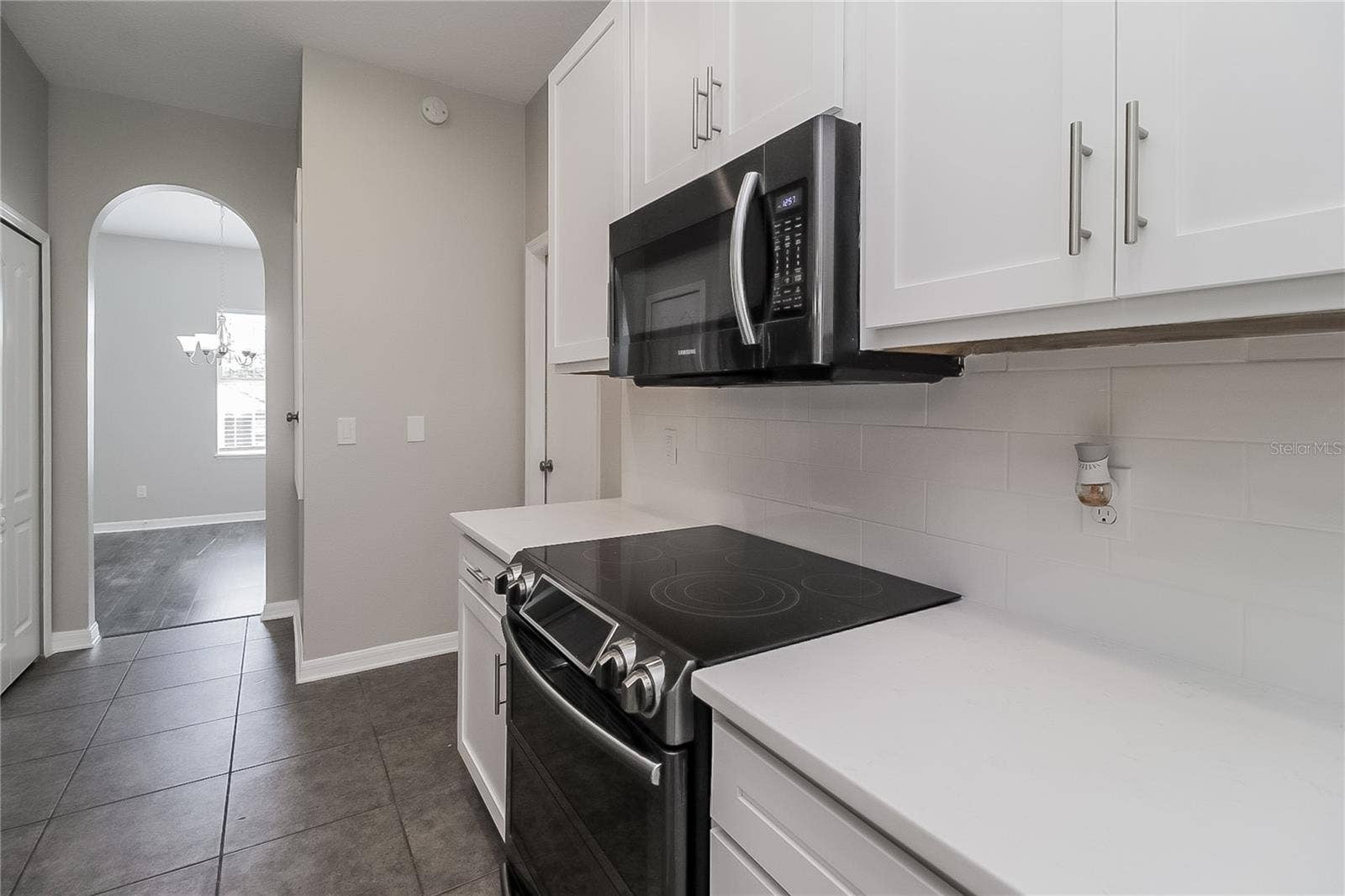 1117 SPRUCE RIDGE COURT, Minneola, FL 34715