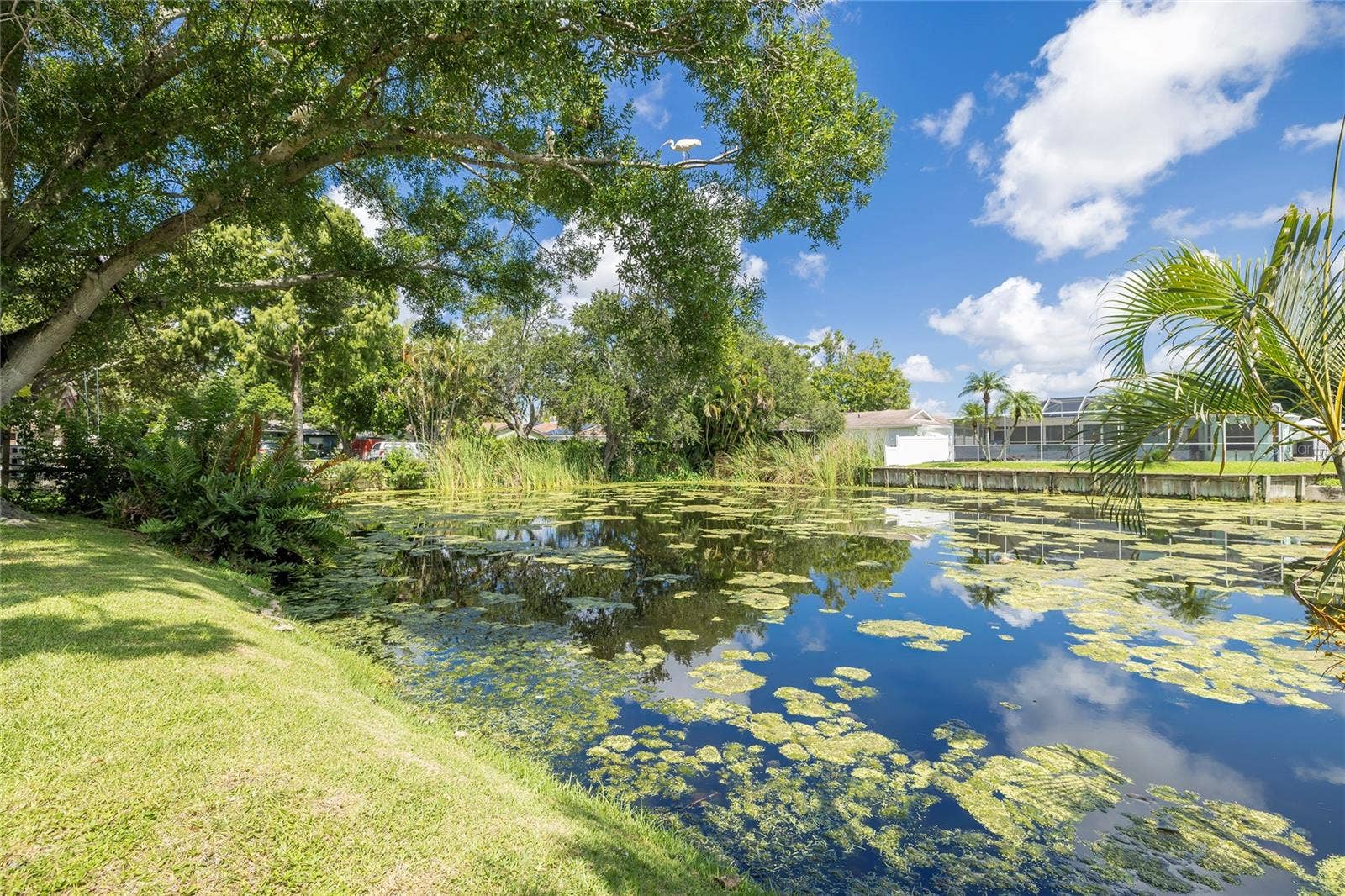 6355 102ND TERRACE N, Pinellas Park, FL 33782 Peaceful water