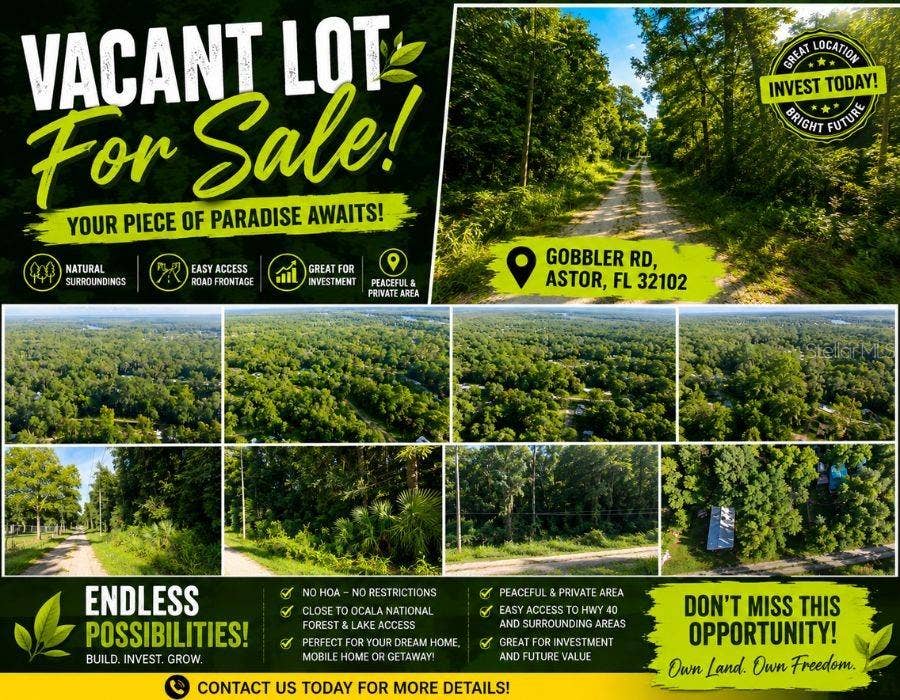 Property photo for GOBBLER ROAD, Astor, FL