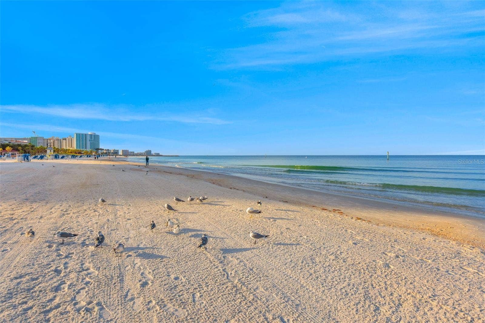 440 S GULFVIEW BOULEVARD, #1407, Clearwater, FL 33767 440 S GULFVIEW BOULEVARD, #1407, Clearwater, FL 33767