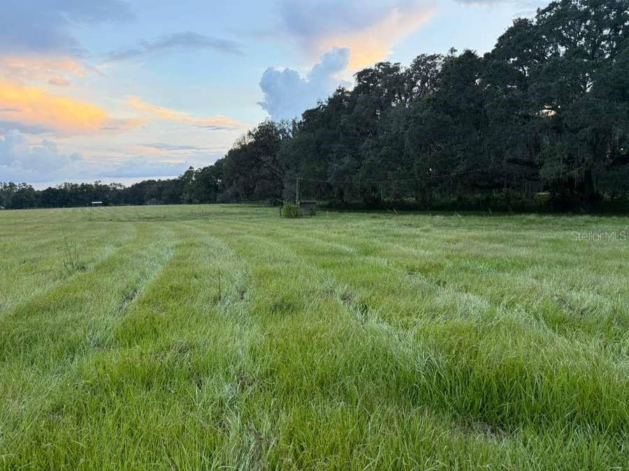 Property photo for 27900 BAYHEAD ROAD, Dade City, FL