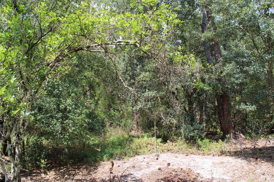 Property photo for 1217 IRIS AVENUE, Sebring, FL