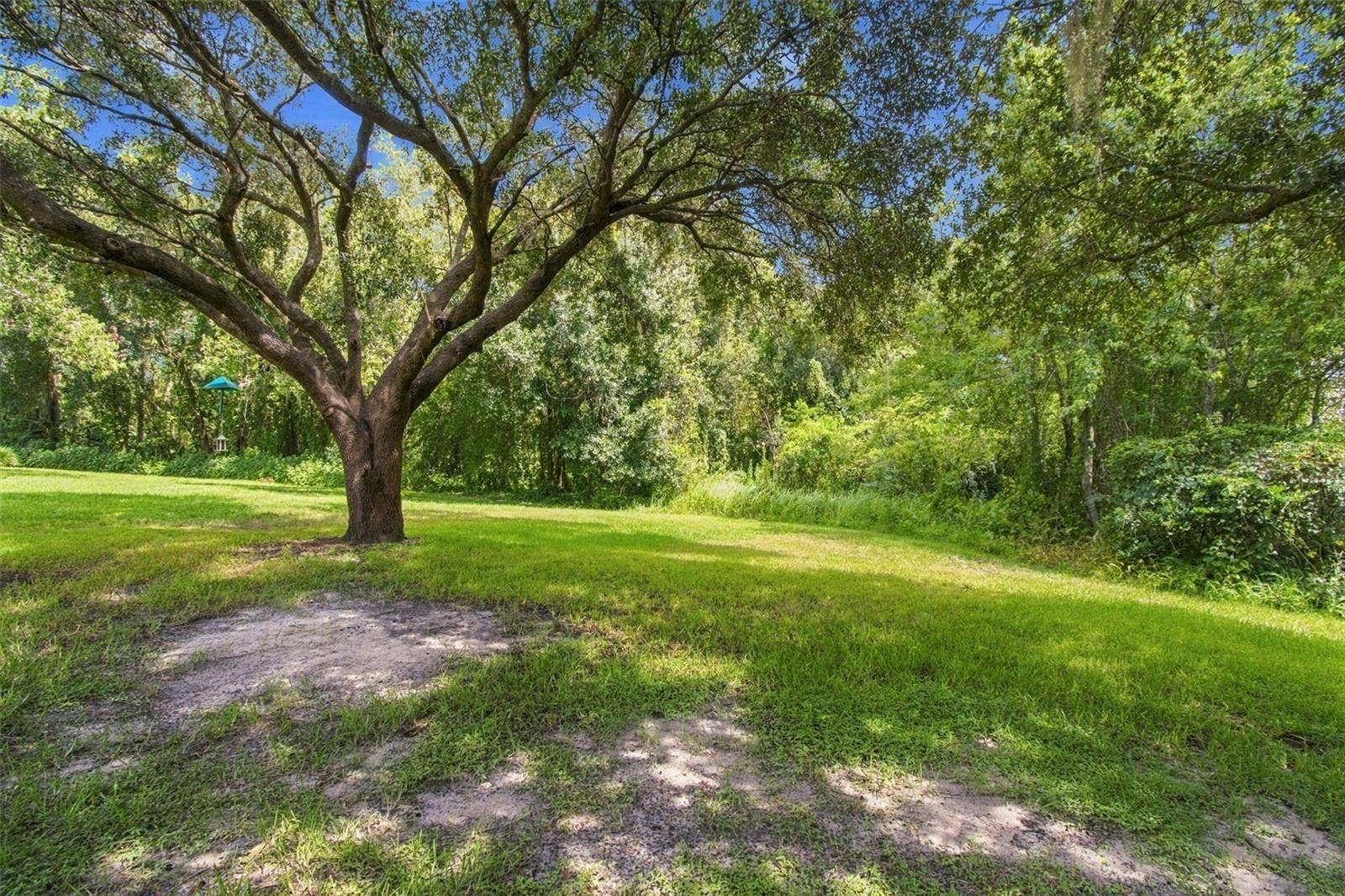 6901 AQUEDUCT TERRACE, Odessa, FL 33556 6901 AQUEDUCT TERRACE, Odessa, FL 33556