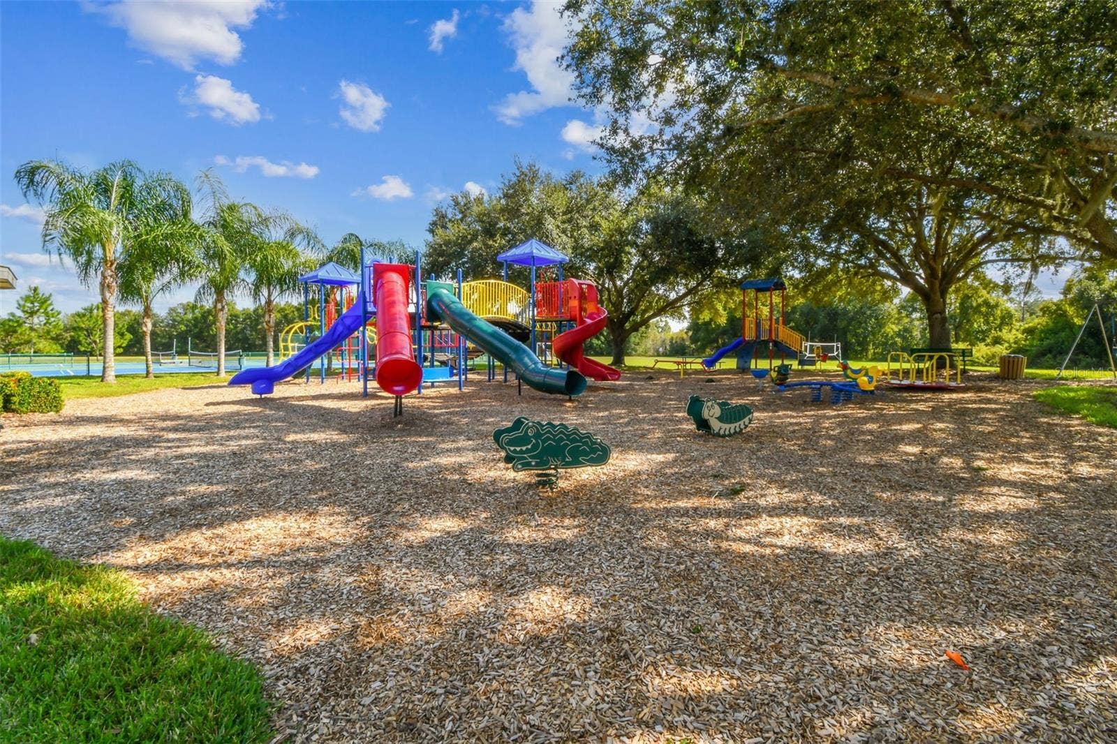 6901 AQUEDUCT TERRACE, Odessa, FL 33556 6901 AQUEDUCT TERRACE, Odessa, FL 33556