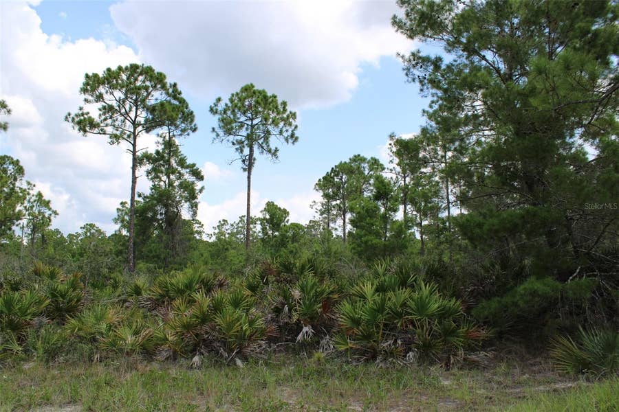 Property photo for 1830 OLEASTER AVENUE, Sebring, FL