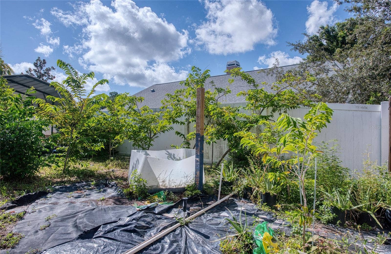Backyard. (2)