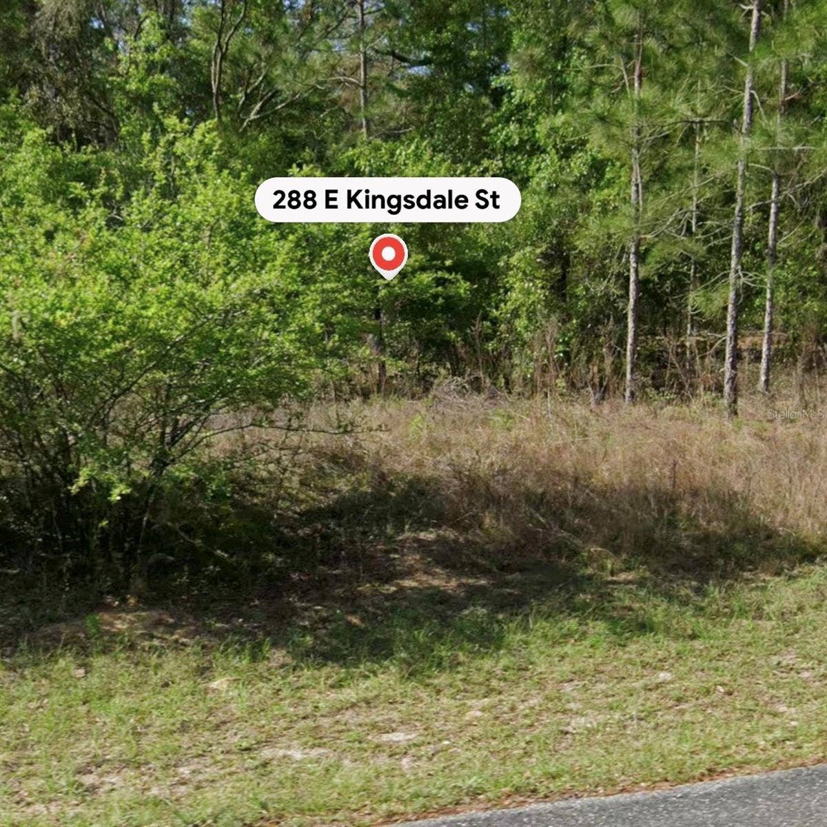 288 E KINGSDALE STREET, Citrus Springs, FL 34434 288 E KINGSDALE STREET, Citrus Springs, FL 34434