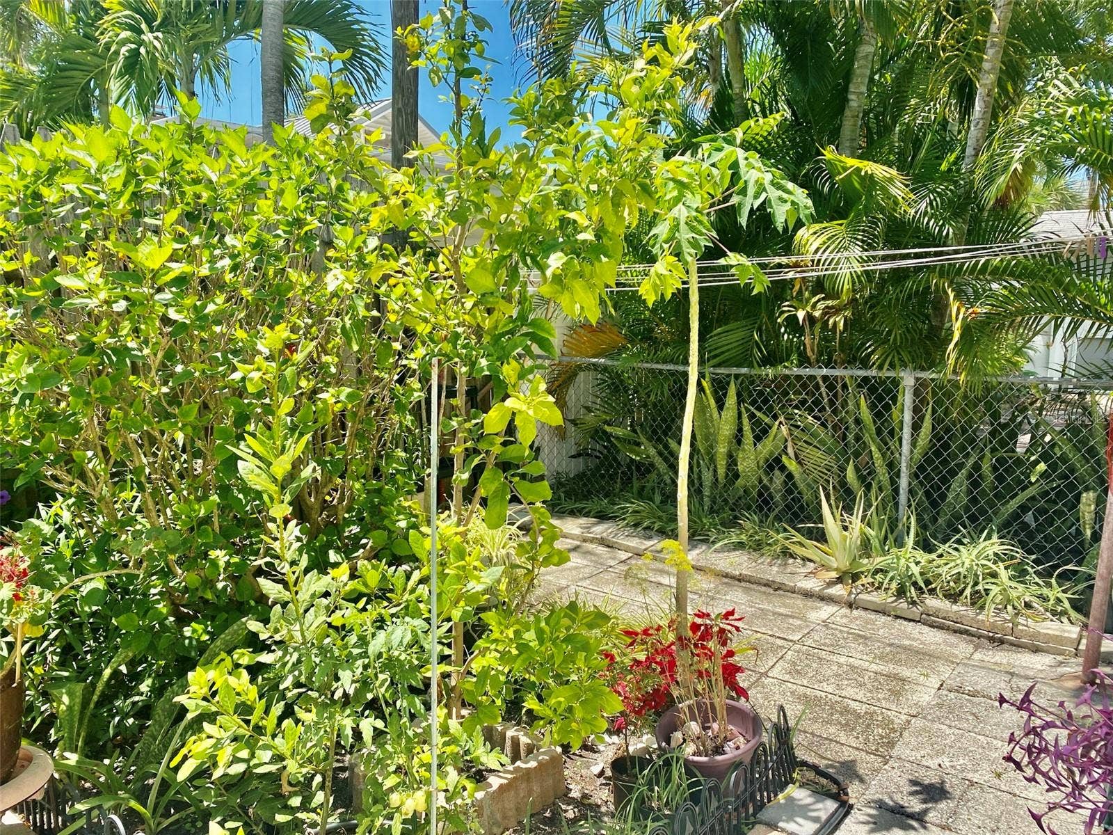 506 71ST AVENUE, #4, St Pete Beach, FL 33706 506 71ST AVENUE, #4, St Pete Beach, FL 33706