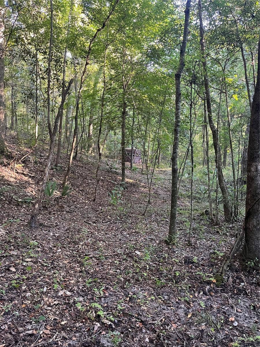OLD FEDERAL ROAD, Quincy, FL 32351