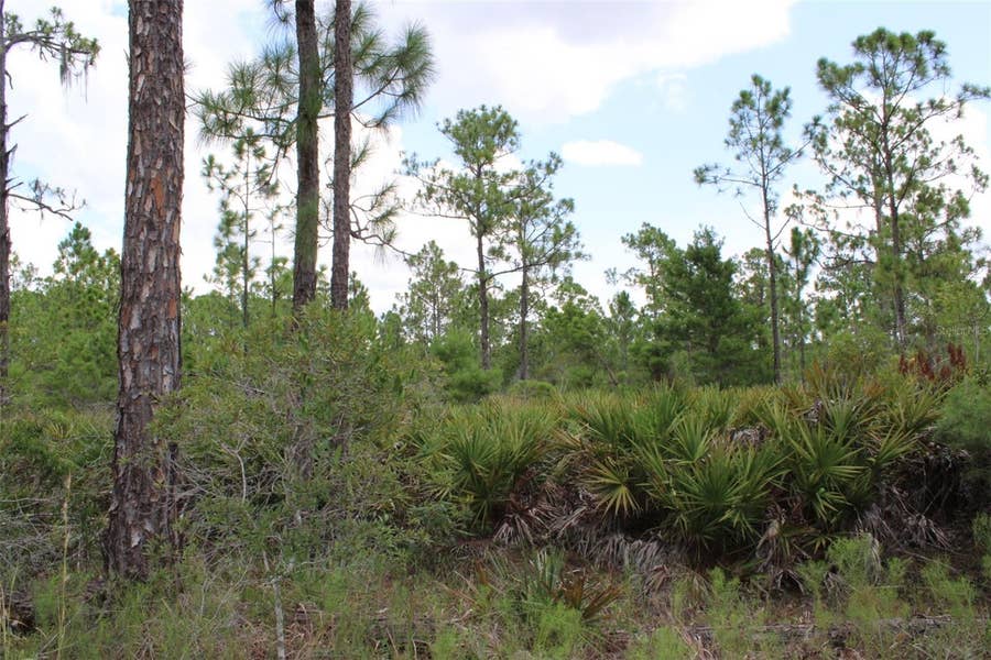 Property photo for 1714 OLEASTER AVENUE, Sebring, FL
