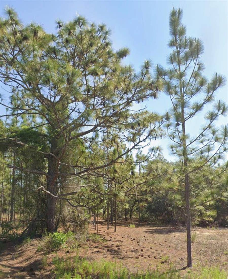 Property photo for TBD SW FLORAL COURT, Dunnellon, FL