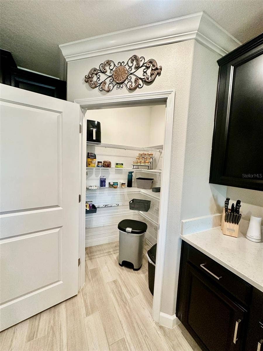 10442 ECHO DOCK LOOP, San Antonio, FL 33576 Large Storage Pantry