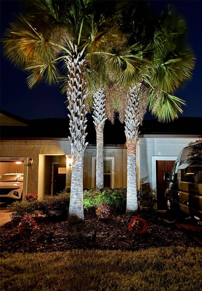 10442 ECHO DOCK LOOP, San Antonio, FL 33576 Landscape Lighting