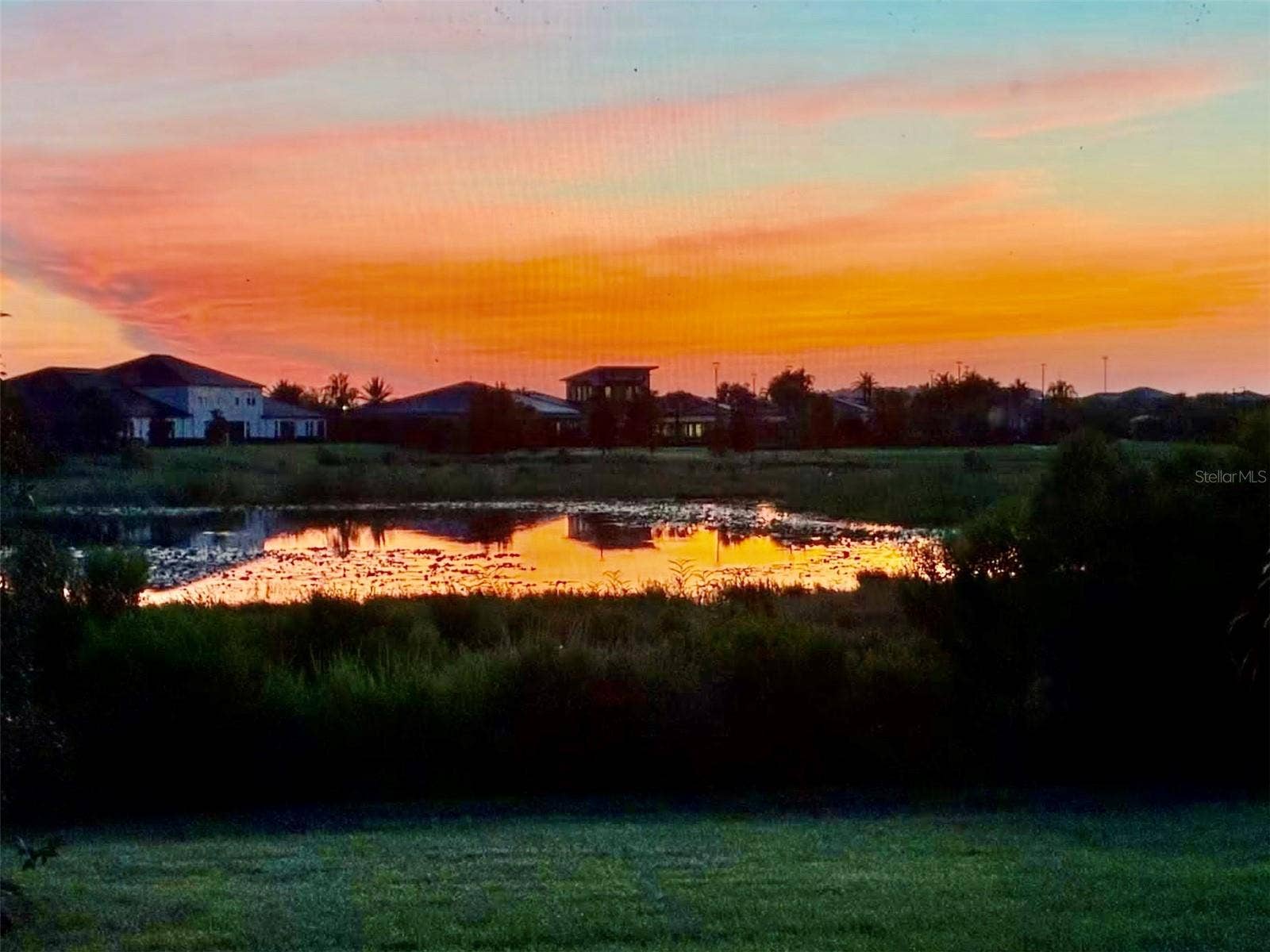 10442 ECHO DOCK LOOP, San Antonio, FL 33576 Backyard Sunrise