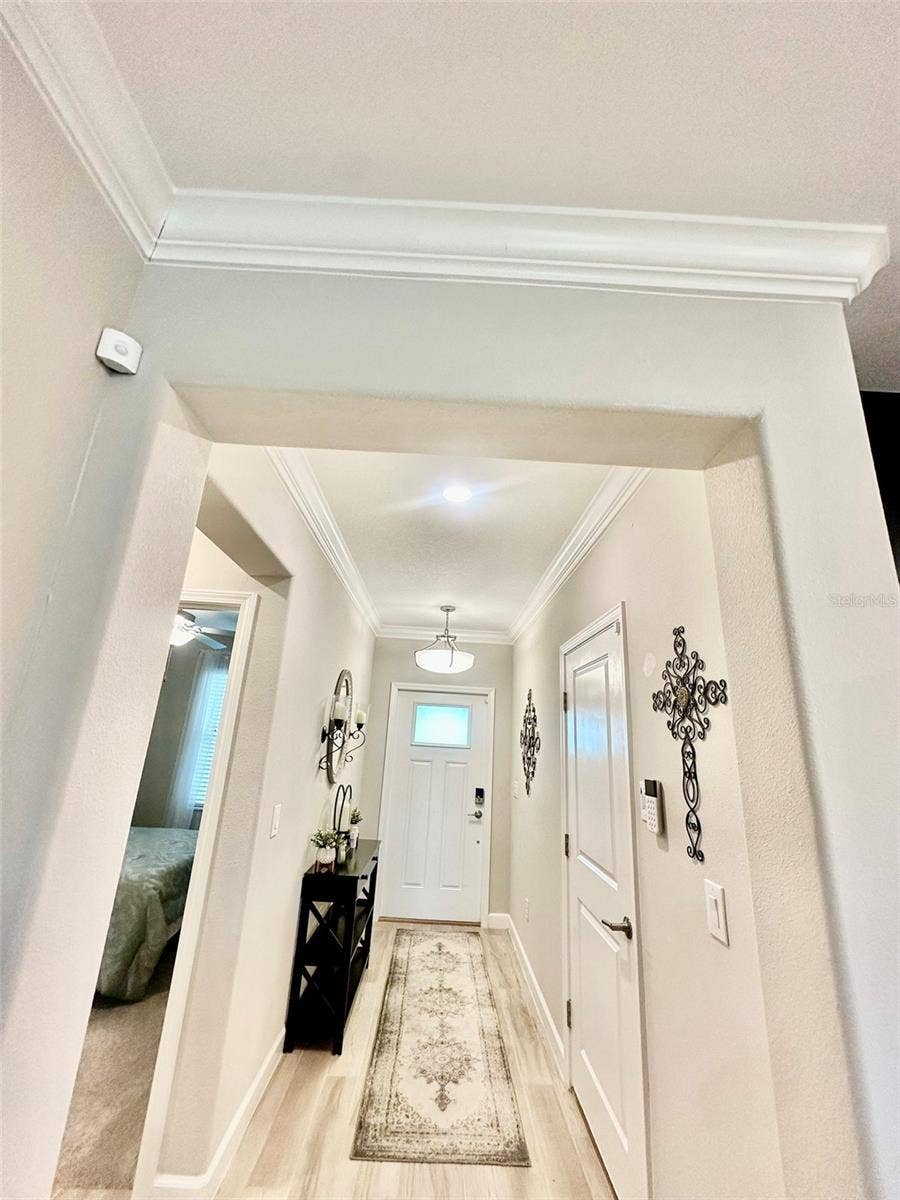 10442 ECHO DOCK LOOP, San Antonio, FL 33576 Upgraded Crown Moulding