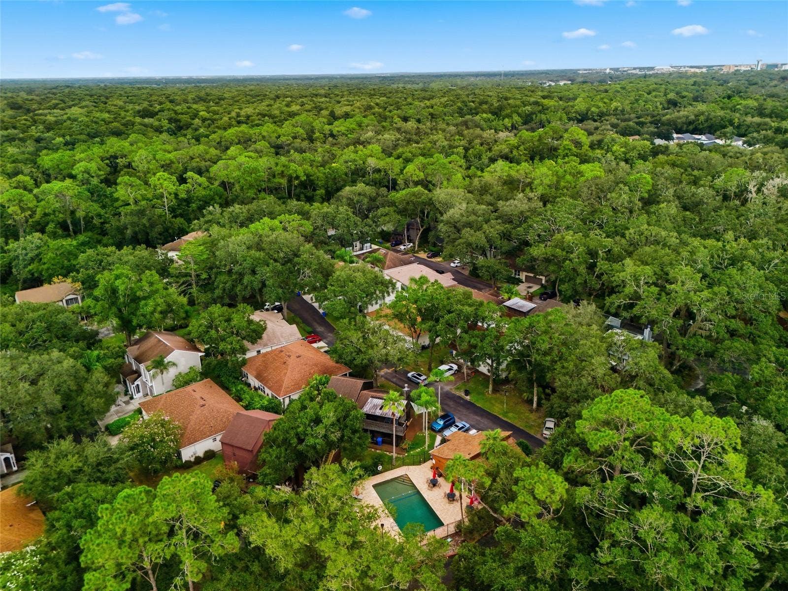 2621 FIDDLESTICK CIRCLE, Lutz, FL 33559 2621 FIDDLESTICK CIRCLE, Lutz, FL 33559