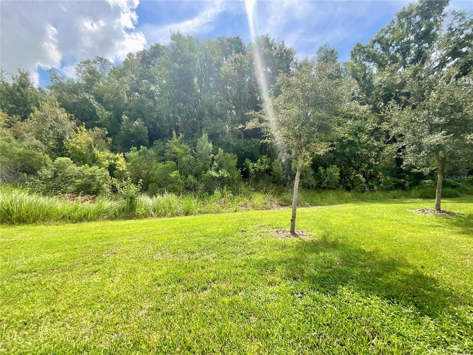 1720 HUBBELL ROAD, Wesley Chapel, FL 33543 1720 HUBBELL ROAD, Wesley Chapel, FL 33543