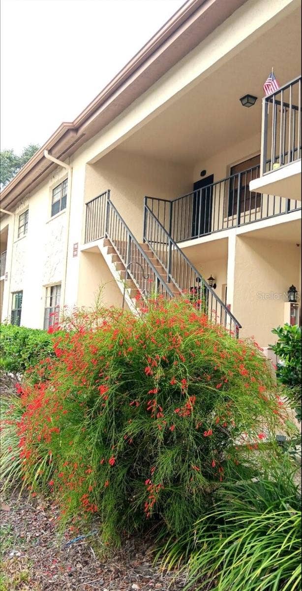 Property photo for 1702 SEASCAPE CIRCLE, #203, Tarpon Springs, FL