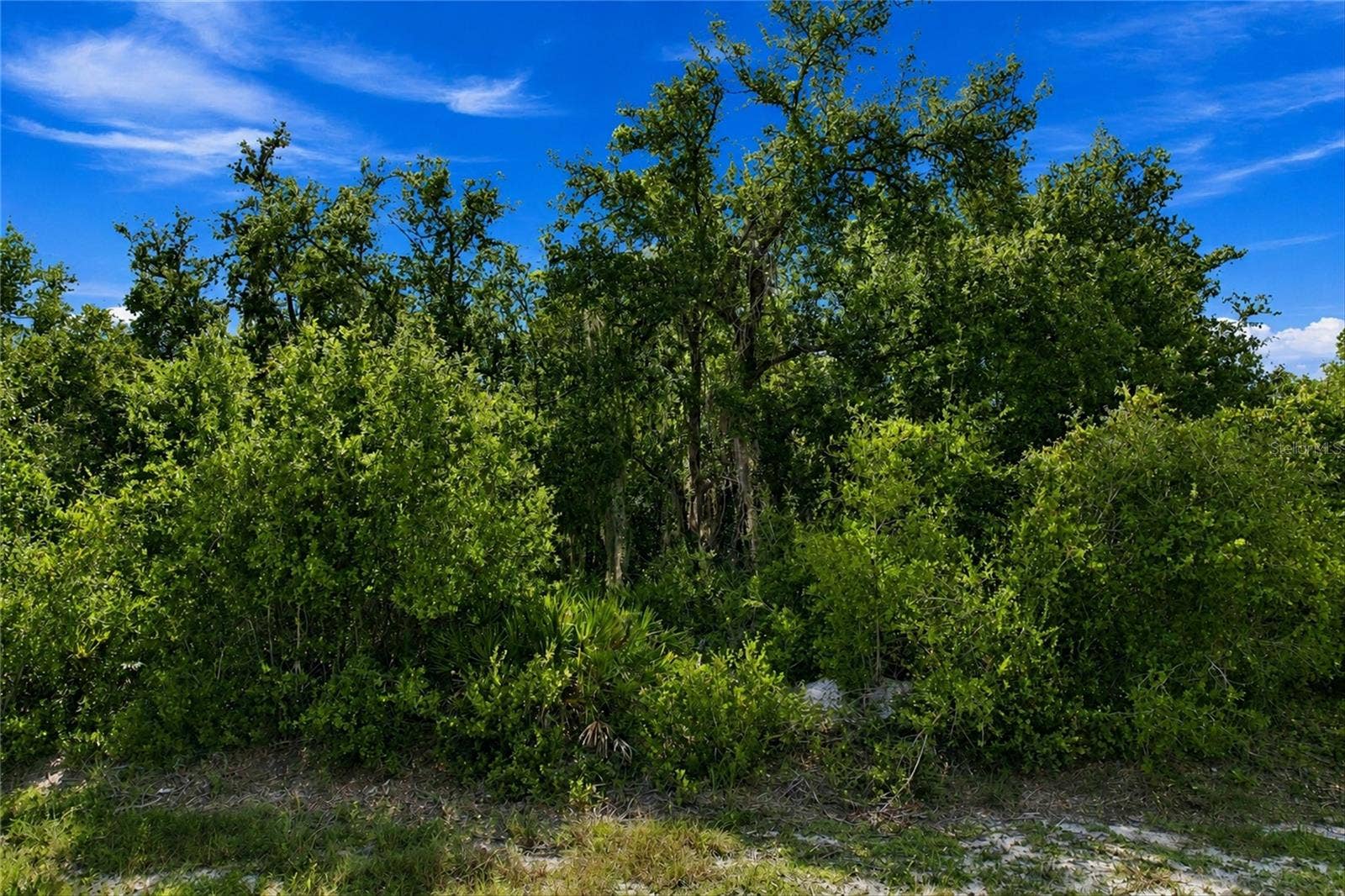 151 RICHLAWN AVENUE, Punta Gorda, FL 33982
