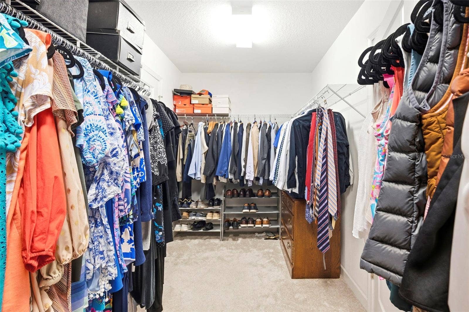 917 TERRA VISTA STREET, Brandon, FL 33511 Primary Walk In Closet