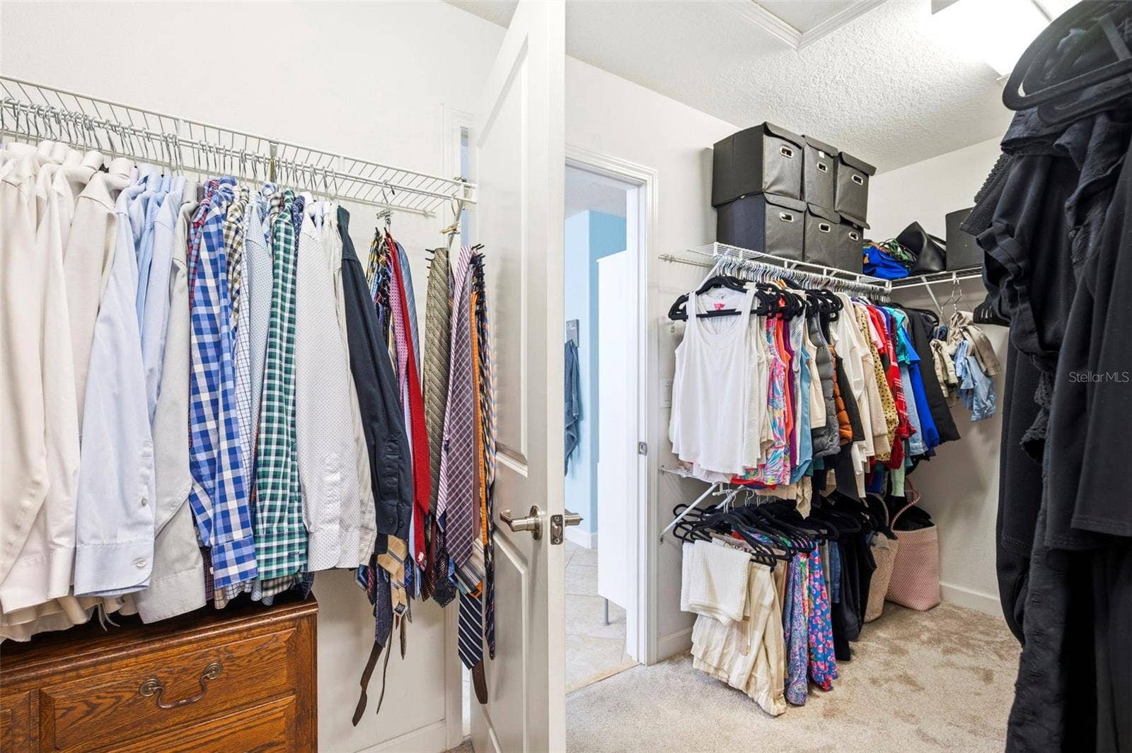 917 TERRA VISTA STREET, Brandon, FL 33511 Primary Walk In Closet