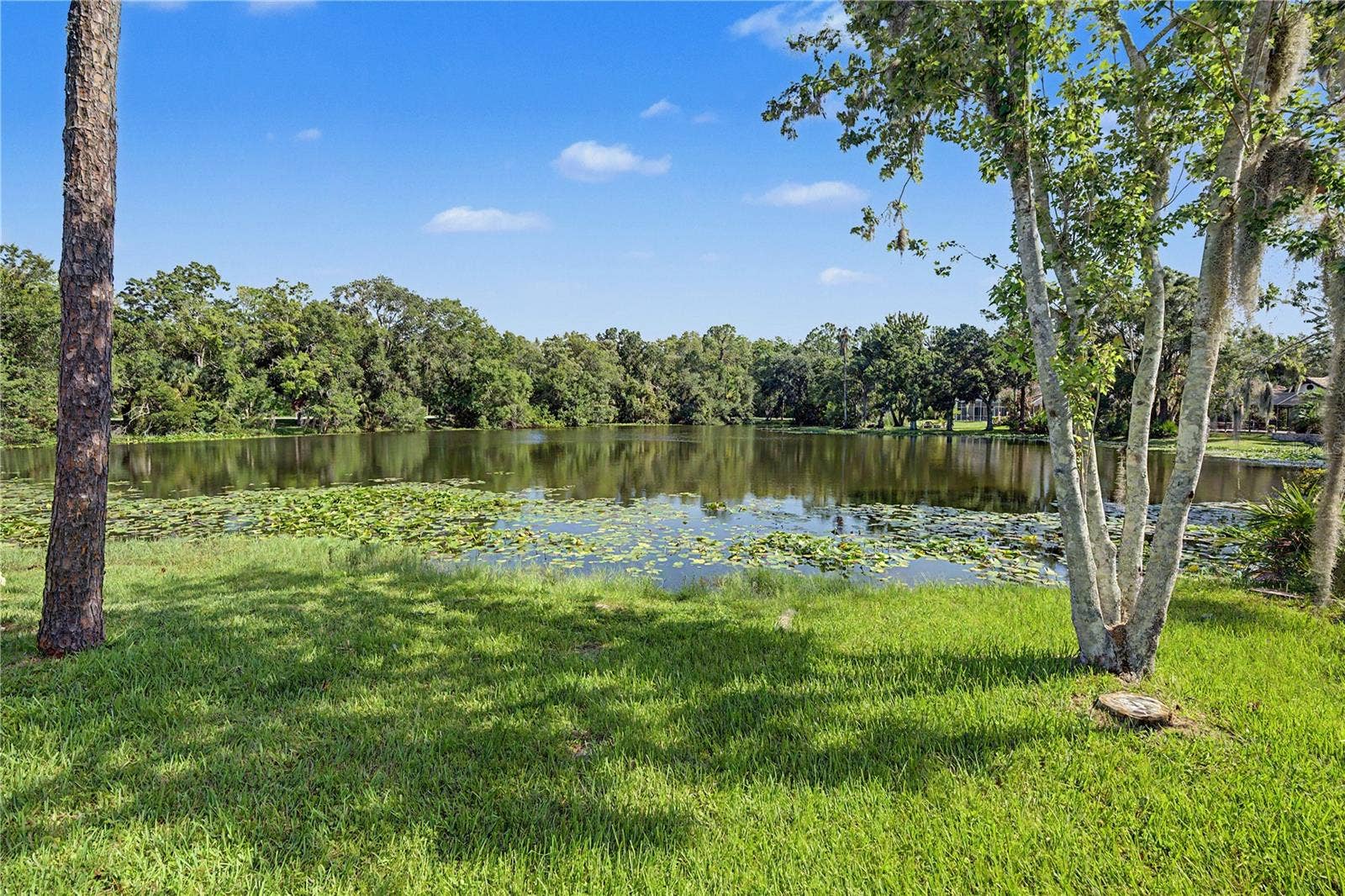 35 GREENHAVEN TRAIL, Oldsmar, FL 34677 35 GREENHAVEN TRAIL, Oldsmar, FL 34677