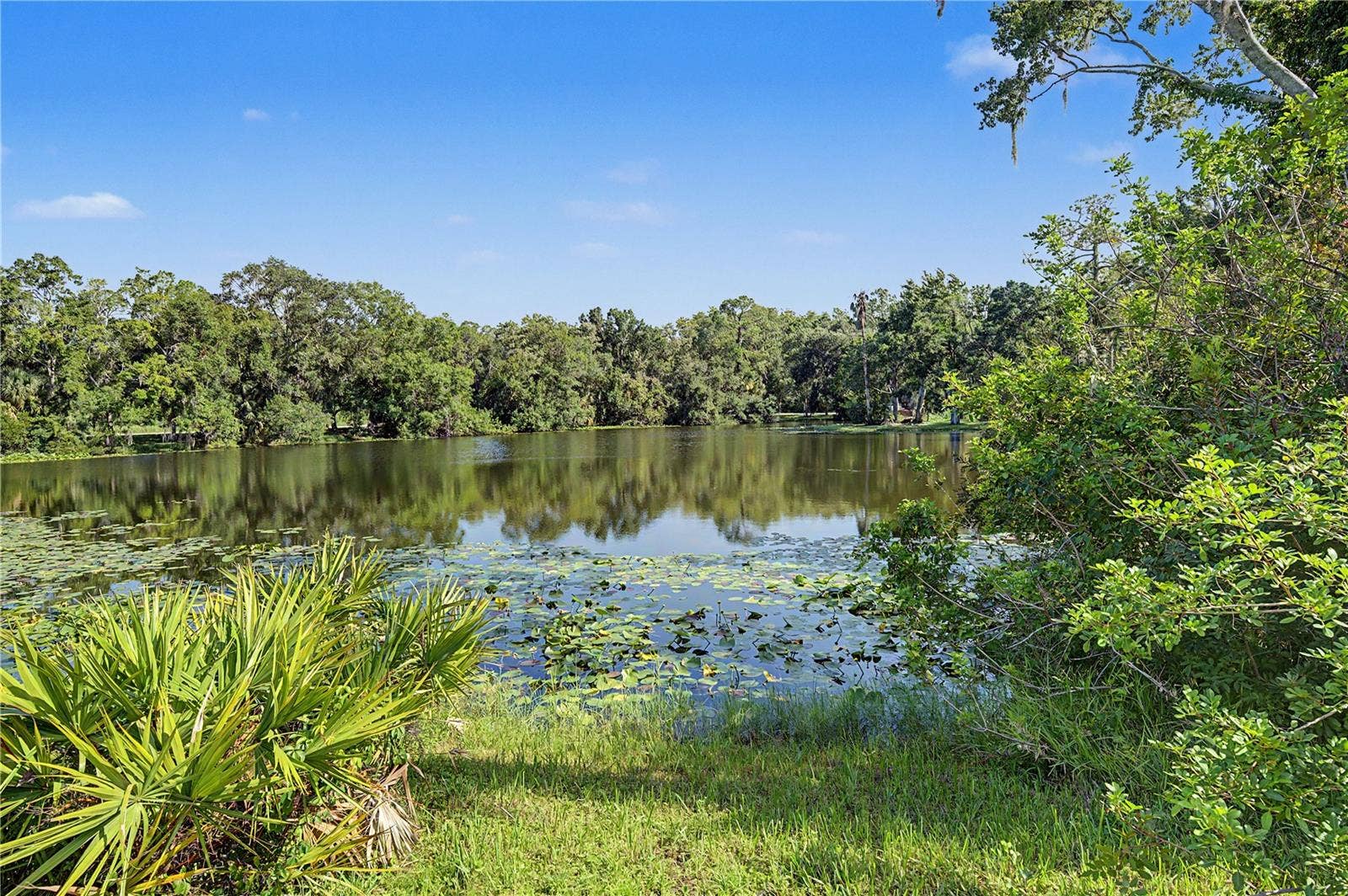 35 GREENHAVEN TRAIL, Oldsmar, FL 34677 35 GREENHAVEN TRAIL, Oldsmar, FL 34677