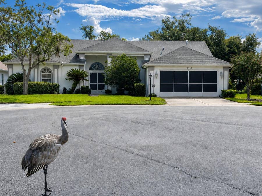 Property photo for 6513 CARDINAL CREST DRIVE, New Port Richey, FL
