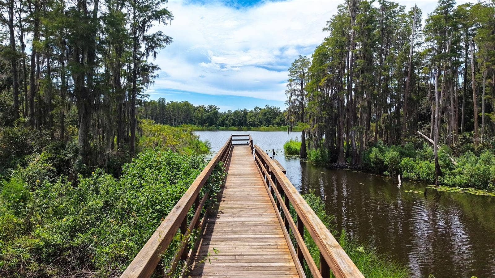 14309 PONDHAWK LANE, Tampa, FL 33625