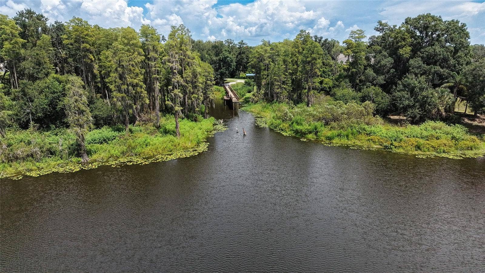14309 PONDHAWK LANE, Tampa, FL 33625