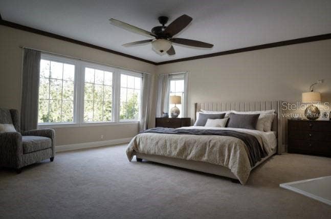 Virtually Staged Primary Bedroom