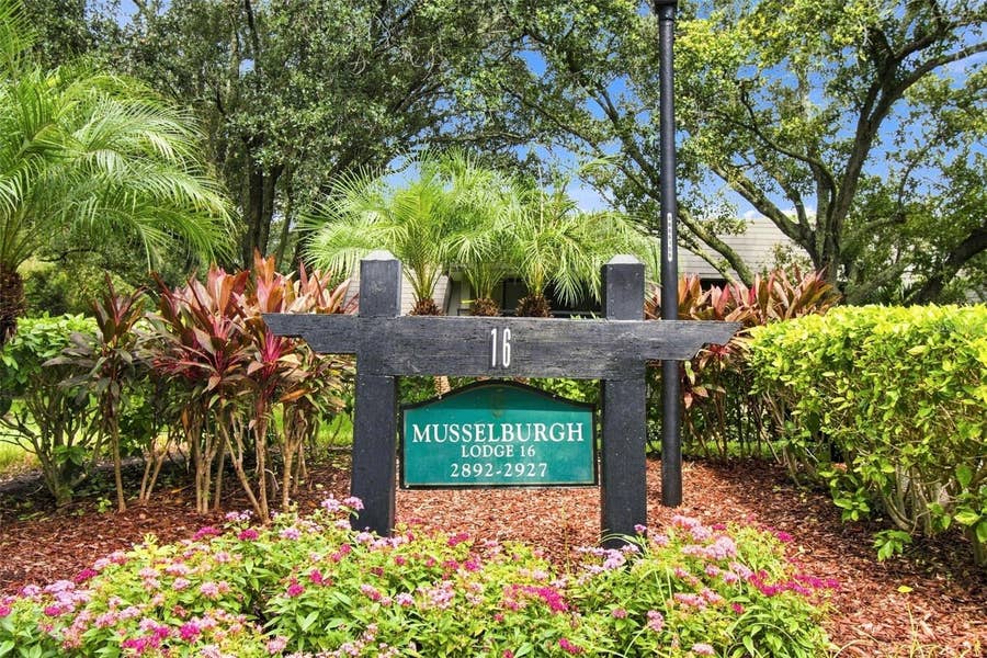 Property photo for 36750 US HIGHWAY 19 N, #16204, Palm Harbor, FL