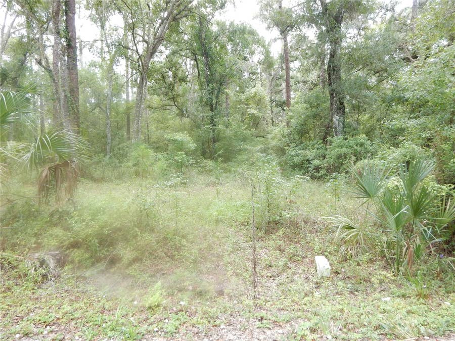 Property photo for CENTRAL AVENUE, Zephyrhills, FL