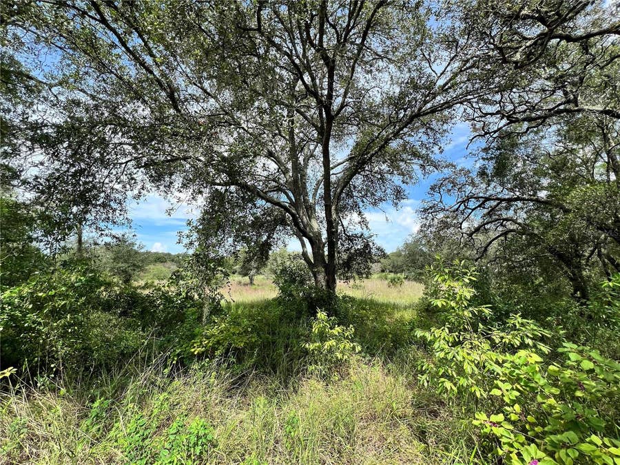 Property photo for 13339 VIVIAN LANE, Hudson, FL
