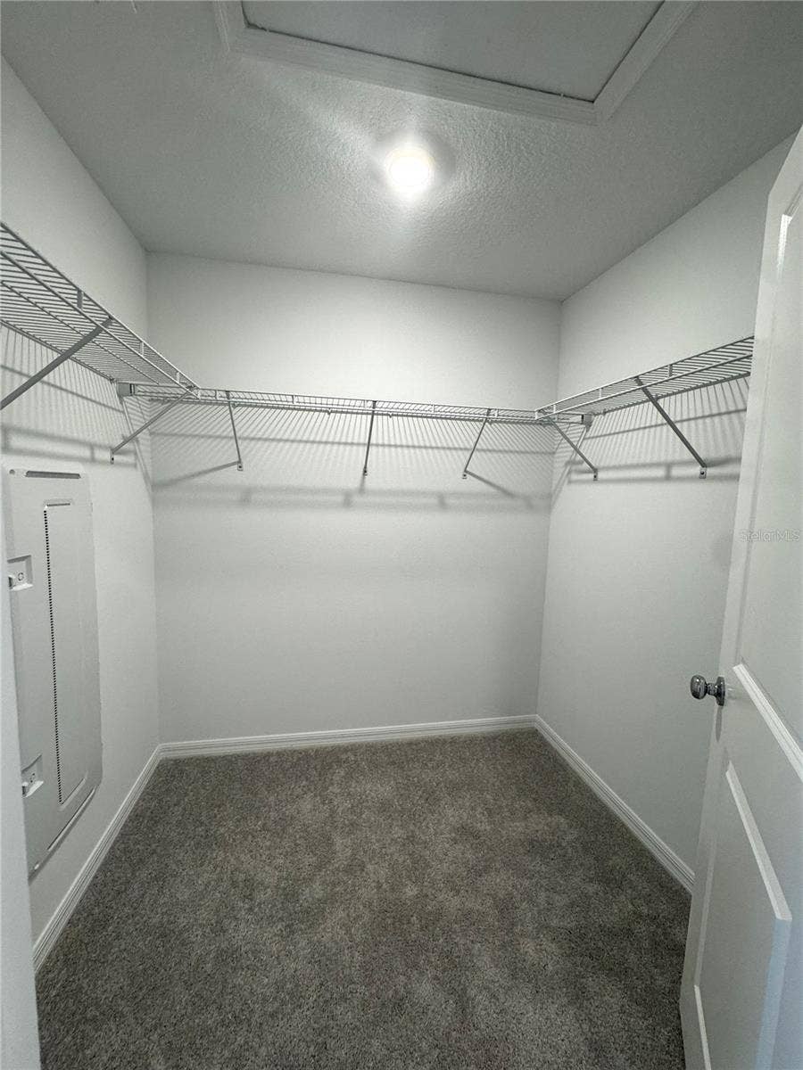 10149 TRUMPET HONEYSUCKLE WAY, San Antonio, FL 33576