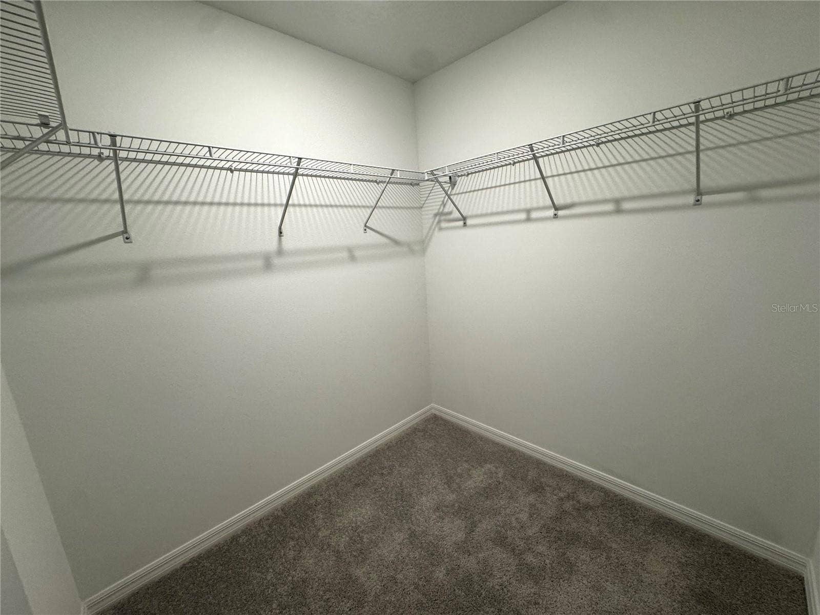 10149 TRUMPET HONEYSUCKLE WAY, San Antonio, FL 33576