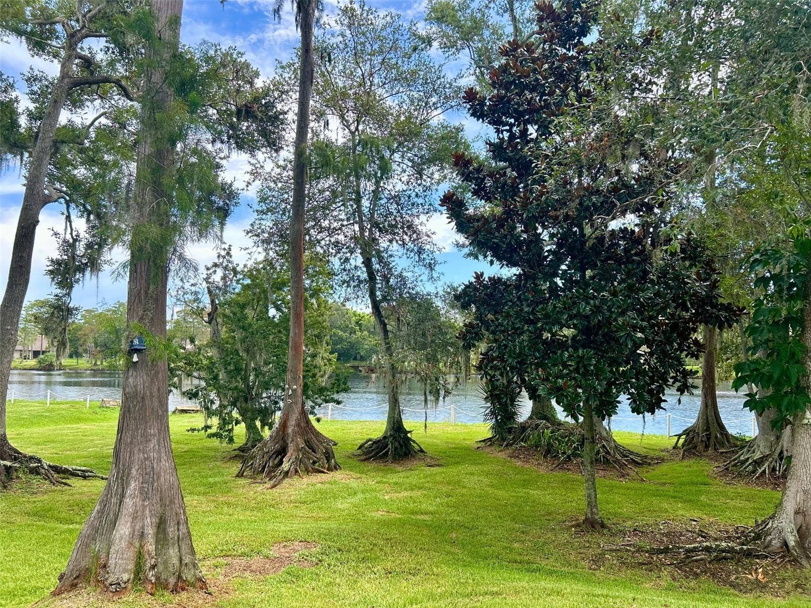 2529 OAKLEAF LANE, #30C, Clearwater, FL 33763 Backyard View