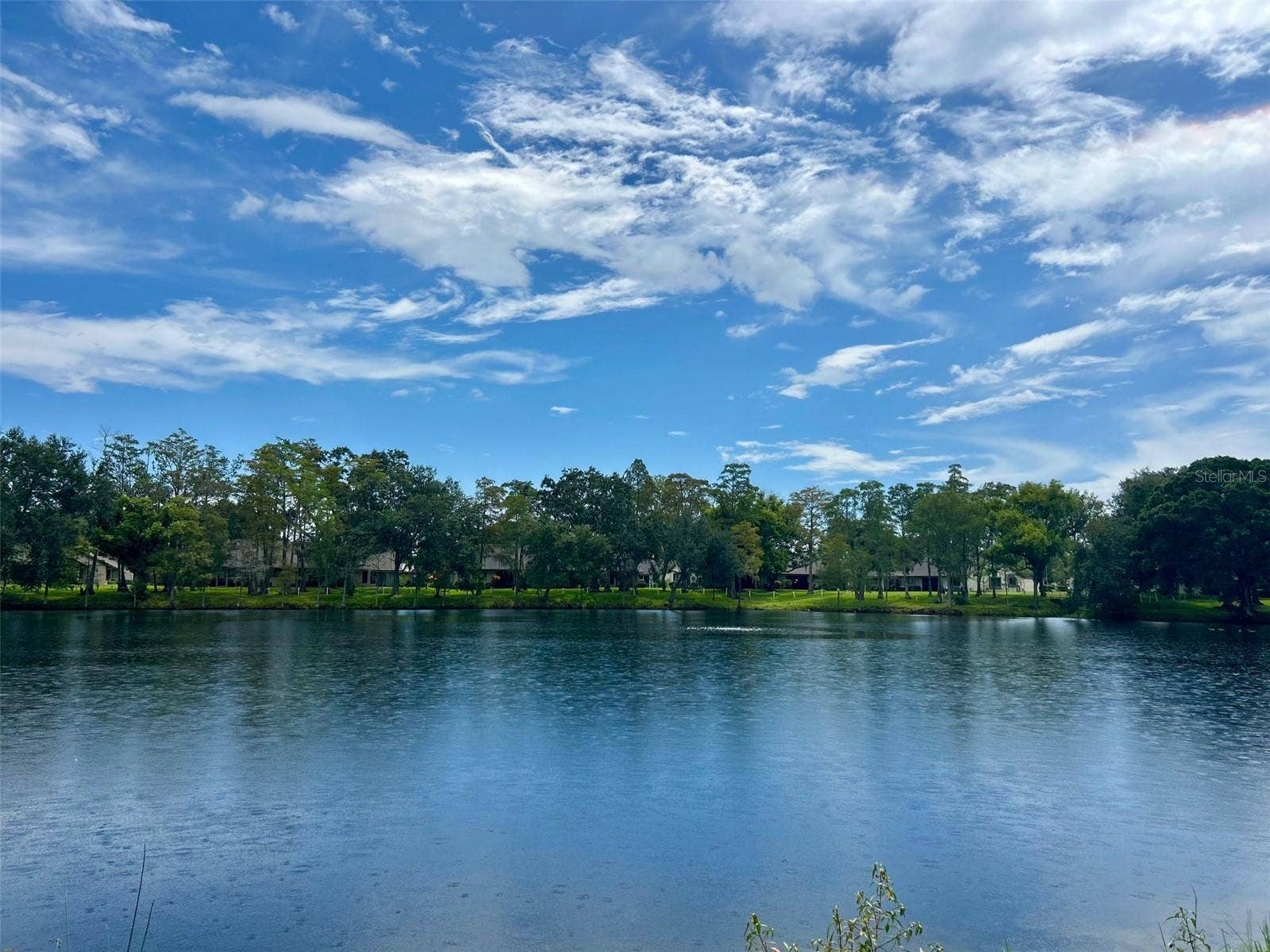 2529 OAKLEAF LANE, #30C, Clearwater, FL 33763 Lake View In Backyard