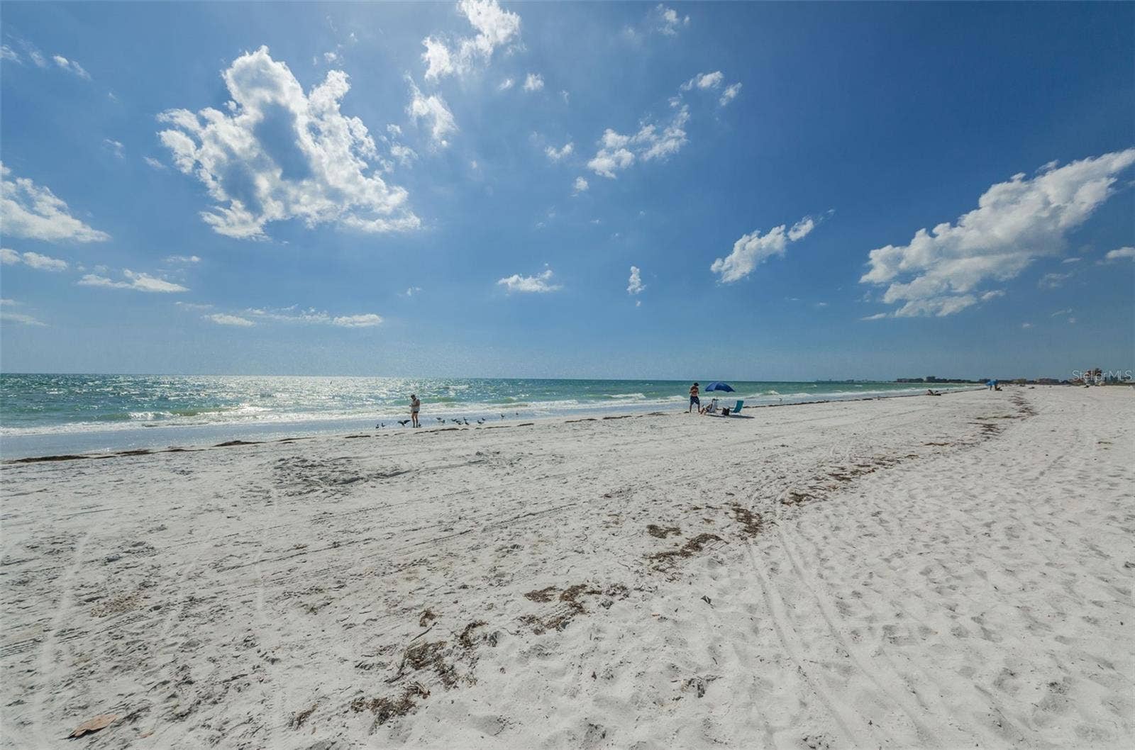 10355 PARADISE BOULEVARD, #711, Treasure Island, FL 33706 10355 PARADISE BOULEVARD, #711, Treasure Island, FL 33706
