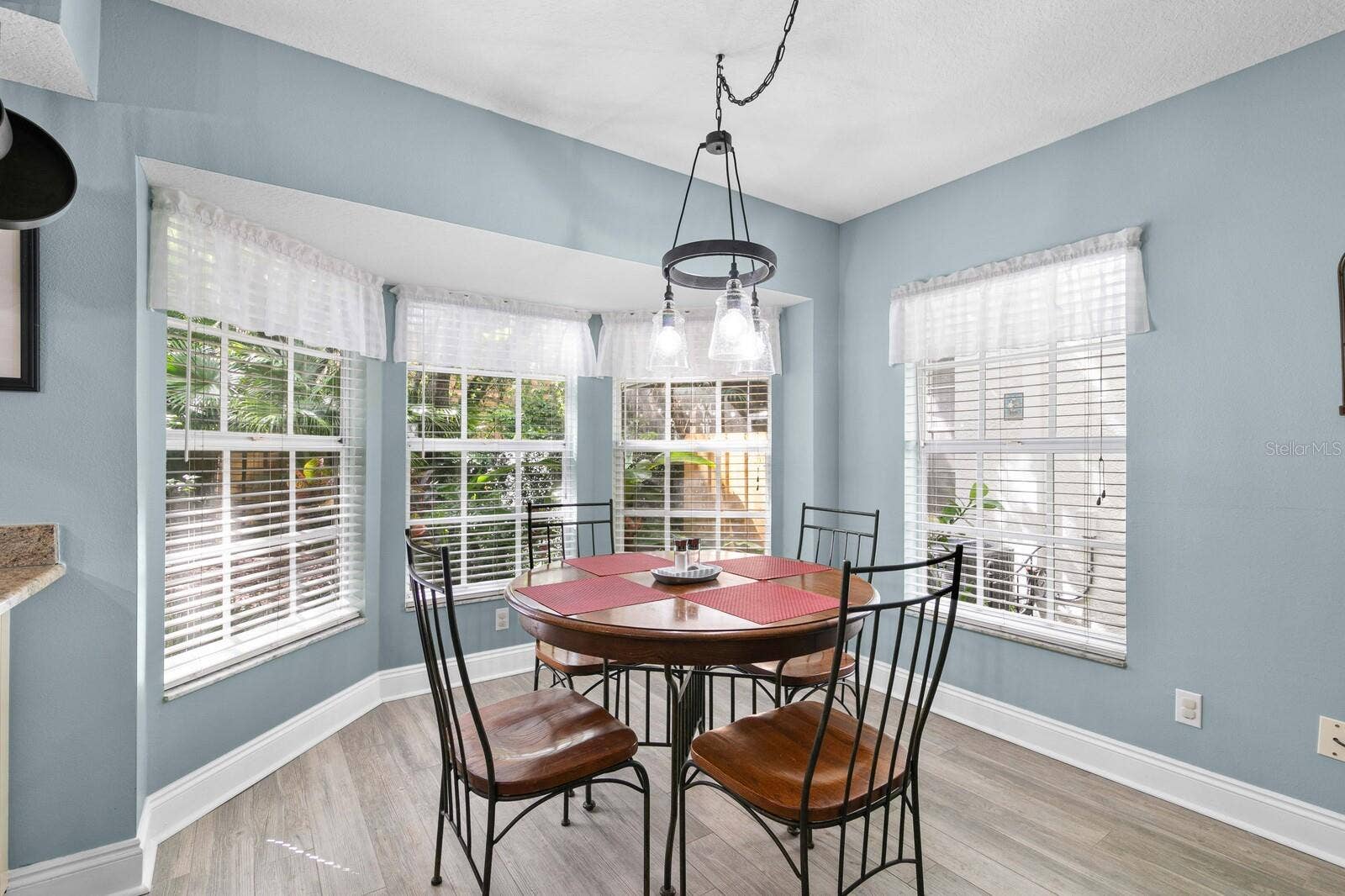 13133 GREENGAGE LANE, Tampa, FL 33612
