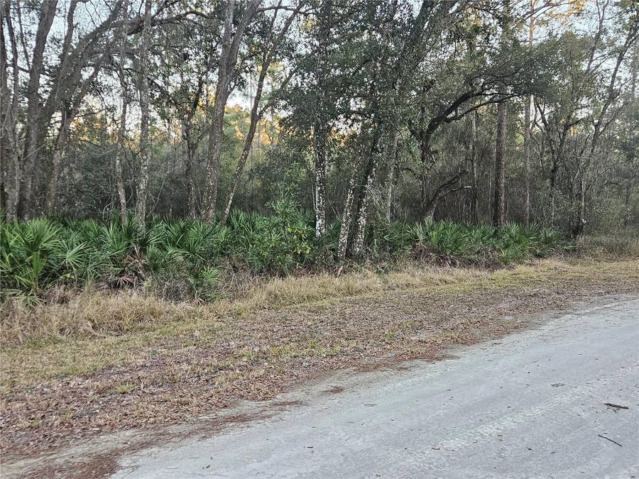 Property photo for ROSEHILL DRIVE, Webster, FL