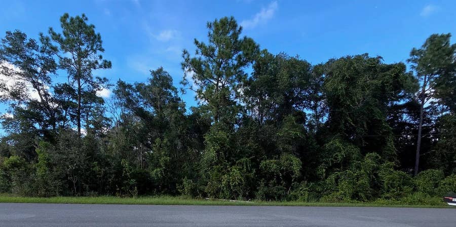 Property photo for 13155 SADDLE WAY, Brooksville, FL