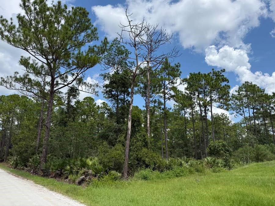 Property photo for Unassigned EAST PARKWAY, Deland, FL