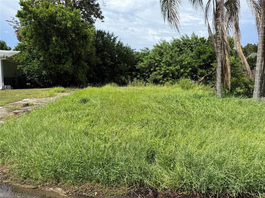 Property photo for 3621 ANNONA COURT, Holiday, FL