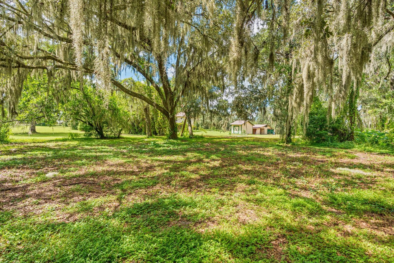 1435 CHERRY LANE, Lakeland, FL 33811 1435 CHERRY LANE, Lakeland, FL 33811